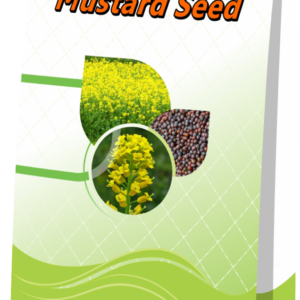 Global Premium Mustard Seeds (Sarson)