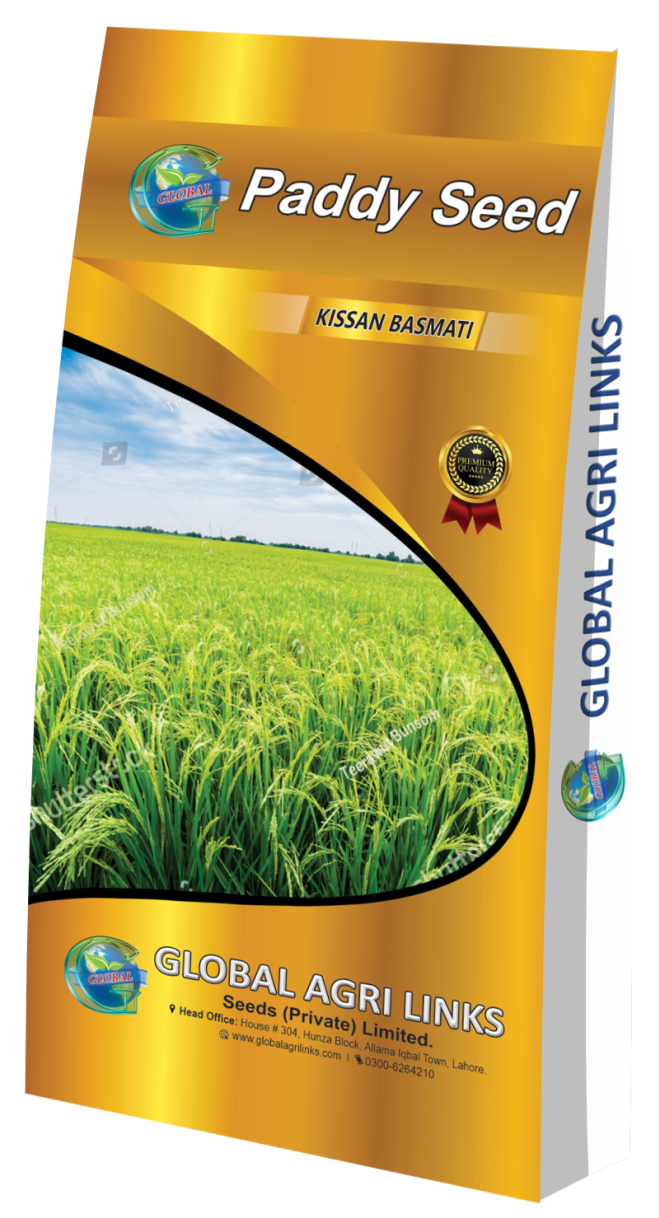 Paddy Seed Kisan Basmati
