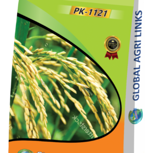 Global Paddy Seed – PK-1121