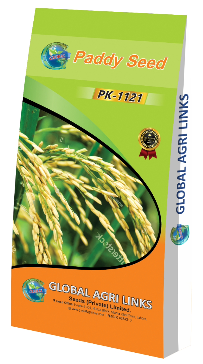 Paddy Seed PK-1121
