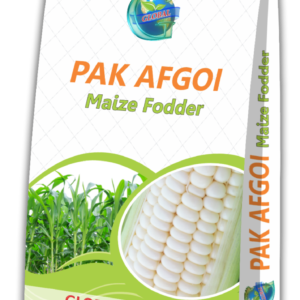 Global Pak Afgoi Maize Fodder Seeds