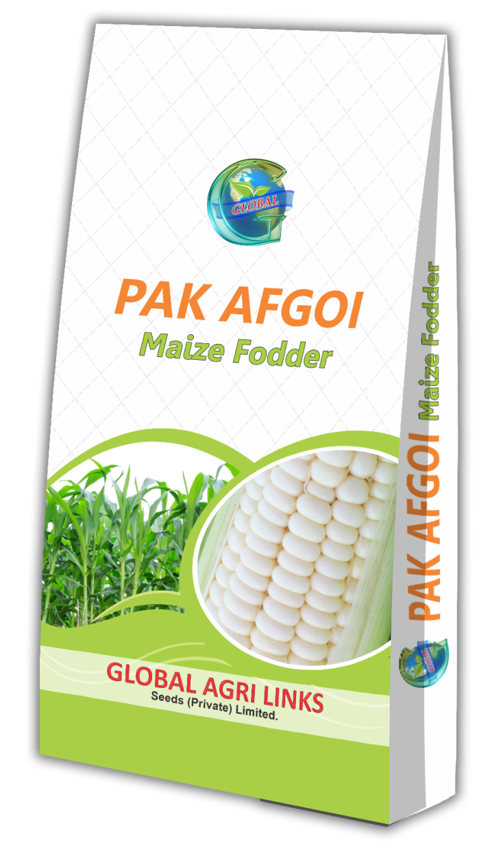 Global Pak Afgoi Maize Fodder Seeds